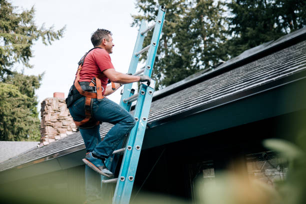 Best Gutter Installation and Repair  in Silsbee, TX